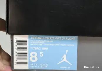 Flight 11 Gift of Jordan Ultimate 0515